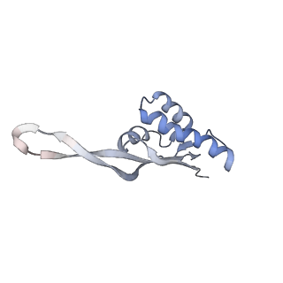 21636_6wdh_s_v1-2
Cryo-EM of elongating ribosome with EF-Tu*GTP elucidates tRNA proofreading (Non-cognate Structure IV-B1)
