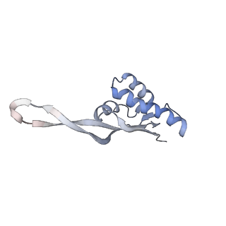 21636_6wdh_s_v1-3
Cryo-EM of elongating ribosome with EF-Tu*GTP elucidates tRNA proofreading (Non-cognate Structure IV-B1)