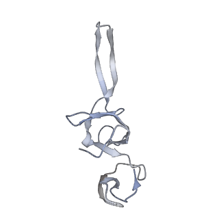 21636_6wdh_u_v1-3
Cryo-EM of elongating ribosome with EF-Tu*GTP elucidates tRNA proofreading (Non-cognate Structure IV-B1)