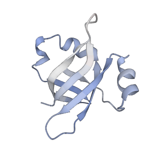 21636_6wdh_v_v1-2
Cryo-EM of elongating ribosome with EF-Tu*GTP elucidates tRNA proofreading (Non-cognate Structure IV-B1)