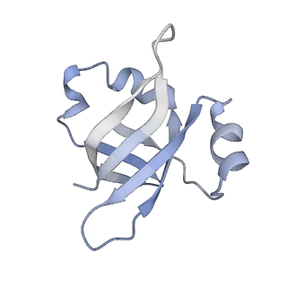 21636_6wdh_v_v1-3
Cryo-EM of elongating ribosome with EF-Tu*GTP elucidates tRNA proofreading (Non-cognate Structure IV-B1)