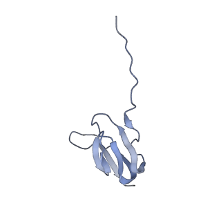 21636_6wdh_w_v1-2
Cryo-EM of elongating ribosome with EF-Tu*GTP elucidates tRNA proofreading (Non-cognate Structure IV-B1)