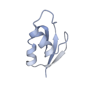 21636_6wdh_z_v1-2
Cryo-EM of elongating ribosome with EF-Tu*GTP elucidates tRNA proofreading (Non-cognate Structure IV-B1)