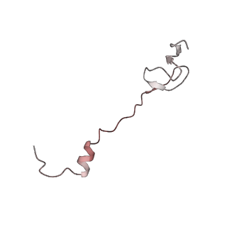 21637_6wdi_B_v1-3
Cryo-EM of elongating ribosome with EF-Tu*GTP elucidates tRNA proofreading (Non-cognate Structure IV-B2)