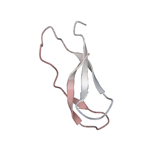 21637_6wdi_C_v1-2
Cryo-EM of elongating ribosome with EF-Tu*GTP elucidates tRNA proofreading (Non-cognate Structure IV-B2)