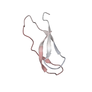 21637_6wdi_C_v1-3
Cryo-EM of elongating ribosome with EF-Tu*GTP elucidates tRNA proofreading (Non-cognate Structure IV-B2)