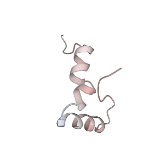 21637_6wdi_D_v1-2
Cryo-EM of elongating ribosome with EF-Tu*GTP elucidates tRNA proofreading (Non-cognate Structure IV-B2)