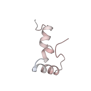 21637_6wdi_D_v1-3
Cryo-EM of elongating ribosome with EF-Tu*GTP elucidates tRNA proofreading (Non-cognate Structure IV-B2)