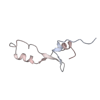 21637_6wdi_E_v1-2
Cryo-EM of elongating ribosome with EF-Tu*GTP elucidates tRNA proofreading (Non-cognate Structure IV-B2)