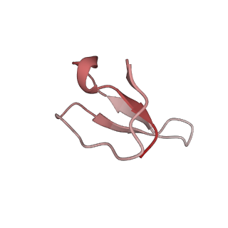 21637_6wdi_F_v1-3
Cryo-EM of elongating ribosome with EF-Tu*GTP elucidates tRNA proofreading (Non-cognate Structure IV-B2)