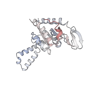 21637_6wdi_G_v1-3
Cryo-EM of elongating ribosome with EF-Tu*GTP elucidates tRNA proofreading (Non-cognate Structure IV-B2)