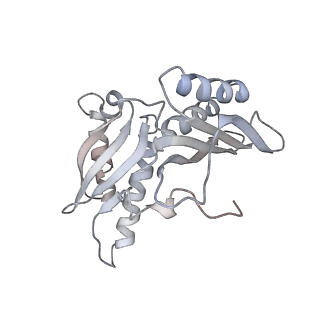 21637_6wdi_H_v1-2
Cryo-EM of elongating ribosome with EF-Tu*GTP elucidates tRNA proofreading (Non-cognate Structure IV-B2)