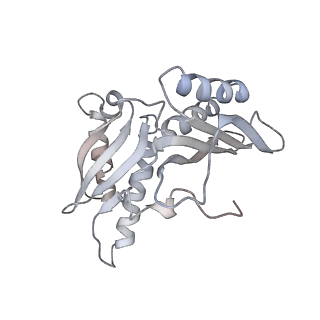 21637_6wdi_H_v1-3
Cryo-EM of elongating ribosome with EF-Tu*GTP elucidates tRNA proofreading (Non-cognate Structure IV-B2)