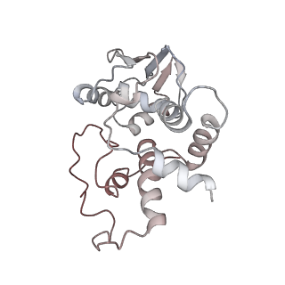 21637_6wdi_I_v1-2
Cryo-EM of elongating ribosome with EF-Tu*GTP elucidates tRNA proofreading (Non-cognate Structure IV-B2)