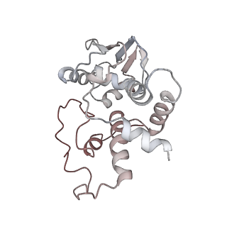 21637_6wdi_I_v1-3
Cryo-EM of elongating ribosome with EF-Tu*GTP elucidates tRNA proofreading (Non-cognate Structure IV-B2)