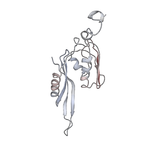 21637_6wdi_J_v1-2
Cryo-EM of elongating ribosome with EF-Tu*GTP elucidates tRNA proofreading (Non-cognate Structure IV-B2)