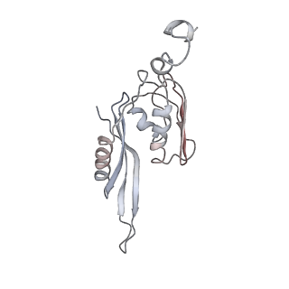 21637_6wdi_J_v1-3
Cryo-EM of elongating ribosome with EF-Tu*GTP elucidates tRNA proofreading (Non-cognate Structure IV-B2)