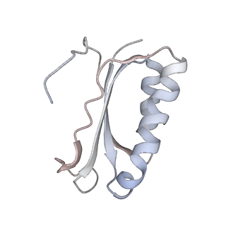 21637_6wdi_K_v1-2
Cryo-EM of elongating ribosome with EF-Tu*GTP elucidates tRNA proofreading (Non-cognate Structure IV-B2)