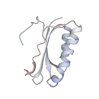 21637_6wdi_K_v1-3
Cryo-EM of elongating ribosome with EF-Tu*GTP elucidates tRNA proofreading (Non-cognate Structure IV-B2)