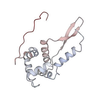 21637_6wdi_L_v1-2
Cryo-EM of elongating ribosome with EF-Tu*GTP elucidates tRNA proofreading (Non-cognate Structure IV-B2)