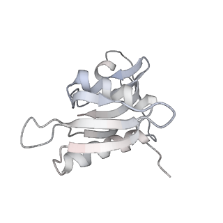 21637_6wdi_M_v1-2
Cryo-EM of elongating ribosome with EF-Tu*GTP elucidates tRNA proofreading (Non-cognate Structure IV-B2)