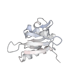 21637_6wdi_M_v1-3
Cryo-EM of elongating ribosome with EF-Tu*GTP elucidates tRNA proofreading (Non-cognate Structure IV-B2)
