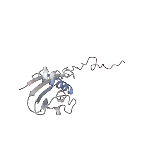 21637_6wdi_N_v1-3
Cryo-EM of elongating ribosome with EF-Tu*GTP elucidates tRNA proofreading (Non-cognate Structure IV-B2)