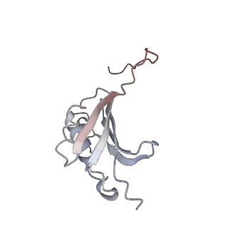 21637_6wdi_P_v1-2
Cryo-EM of elongating ribosome with EF-Tu*GTP elucidates tRNA proofreading (Non-cognate Structure IV-B2)