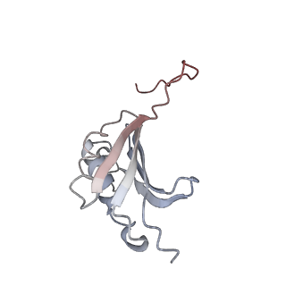 21637_6wdi_P_v1-3
Cryo-EM of elongating ribosome with EF-Tu*GTP elucidates tRNA proofreading (Non-cognate Structure IV-B2)