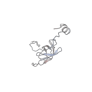 21637_6wdi_Q_v1-2
Cryo-EM of elongating ribosome with EF-Tu*GTP elucidates tRNA proofreading (Non-cognate Structure IV-B2)