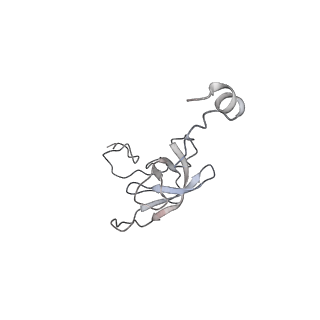 21637_6wdi_Q_v1-3
Cryo-EM of elongating ribosome with EF-Tu*GTP elucidates tRNA proofreading (Non-cognate Structure IV-B2)