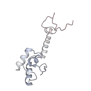 21637_6wdi_R_v1-2
Cryo-EM of elongating ribosome with EF-Tu*GTP elucidates tRNA proofreading (Non-cognate Structure IV-B2)