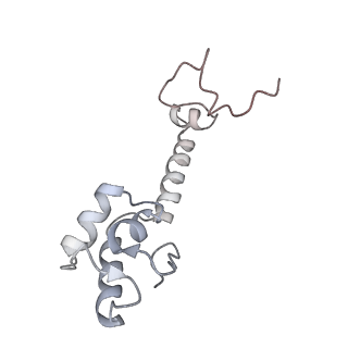 21637_6wdi_R_v1-3
Cryo-EM of elongating ribosome with EF-Tu*GTP elucidates tRNA proofreading (Non-cognate Structure IV-B2)