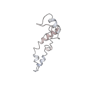 21637_6wdi_S_v1-2
Cryo-EM of elongating ribosome with EF-Tu*GTP elucidates tRNA proofreading (Non-cognate Structure IV-B2)