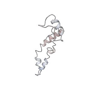 21637_6wdi_S_v1-3
Cryo-EM of elongating ribosome with EF-Tu*GTP elucidates tRNA proofreading (Non-cognate Structure IV-B2)