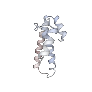 21637_6wdi_T_v1-2
Cryo-EM of elongating ribosome with EF-Tu*GTP elucidates tRNA proofreading (Non-cognate Structure IV-B2)