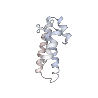 21637_6wdi_T_v1-3
Cryo-EM of elongating ribosome with EF-Tu*GTP elucidates tRNA proofreading (Non-cognate Structure IV-B2)