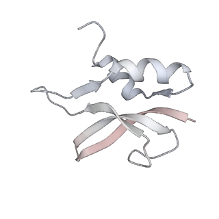 21637_6wdi_U_v1-2
Cryo-EM of elongating ribosome with EF-Tu*GTP elucidates tRNA proofreading (Non-cognate Structure IV-B2)