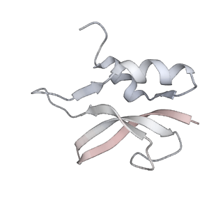 21637_6wdi_U_v1-3
Cryo-EM of elongating ribosome with EF-Tu*GTP elucidates tRNA proofreading (Non-cognate Structure IV-B2)