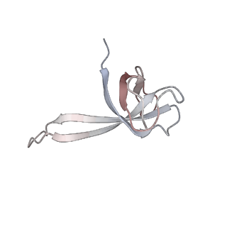 21637_6wdi_V_v1-3
Cryo-EM of elongating ribosome with EF-Tu*GTP elucidates tRNA proofreading (Non-cognate Structure IV-B2)