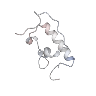 21637_6wdi_W_v1-2
Cryo-EM of elongating ribosome with EF-Tu*GTP elucidates tRNA proofreading (Non-cognate Structure IV-B2)