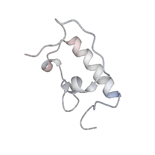 21637_6wdi_W_v1-3
Cryo-EM of elongating ribosome with EF-Tu*GTP elucidates tRNA proofreading (Non-cognate Structure IV-B2)