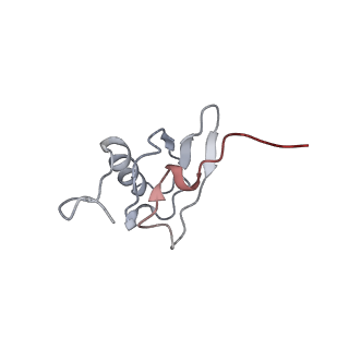 21637_6wdi_X_v1-2
Cryo-EM of elongating ribosome with EF-Tu*GTP elucidates tRNA proofreading (Non-cognate Structure IV-B2)
