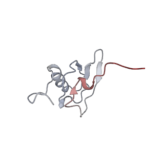 21637_6wdi_X_v1-3
Cryo-EM of elongating ribosome with EF-Tu*GTP elucidates tRNA proofreading (Non-cognate Structure IV-B2)