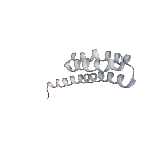 21637_6wdi_Y_v1-2
Cryo-EM of elongating ribosome with EF-Tu*GTP elucidates tRNA proofreading (Non-cognate Structure IV-B2)