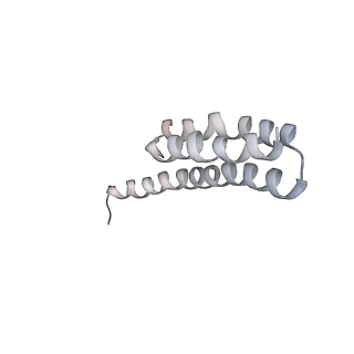 21637_6wdi_Y_v1-3
Cryo-EM of elongating ribosome with EF-Tu*GTP elucidates tRNA proofreading (Non-cognate Structure IV-B2)