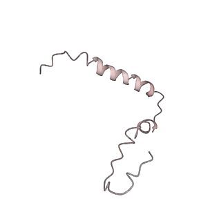 21637_6wdi_Z_v1-3
Cryo-EM of elongating ribosome with EF-Tu*GTP elucidates tRNA proofreading (Non-cognate Structure IV-B2)