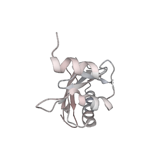 21637_6wdi_a_v1-3
Cryo-EM of elongating ribosome with EF-Tu*GTP elucidates tRNA proofreading (Non-cognate Structure IV-B2)