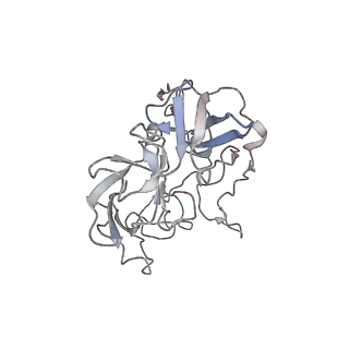 21637_6wdi_b_v1-2
Cryo-EM of elongating ribosome with EF-Tu*GTP elucidates tRNA proofreading (Non-cognate Structure IV-B2)