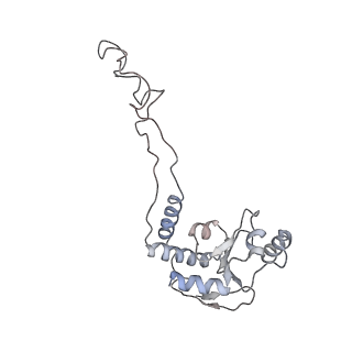 21637_6wdi_d_v1-3
Cryo-EM of elongating ribosome with EF-Tu*GTP elucidates tRNA proofreading (Non-cognate Structure IV-B2)